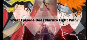 What episode does Naruto Fight Pain